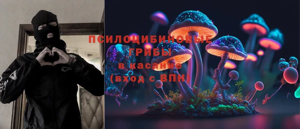 метадон Анива