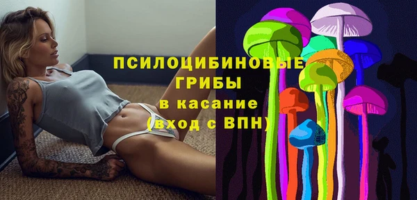круглые Абаза